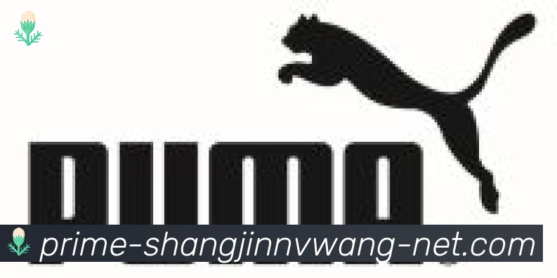 PG赏金女王合作伙伴
